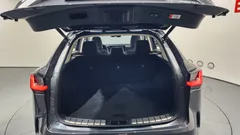 2024 Lexus NX Premium, серый — фото 20