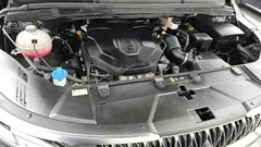 2023 Kia Carnival Diesel 7-Seater Hi-Limousine — фото 6