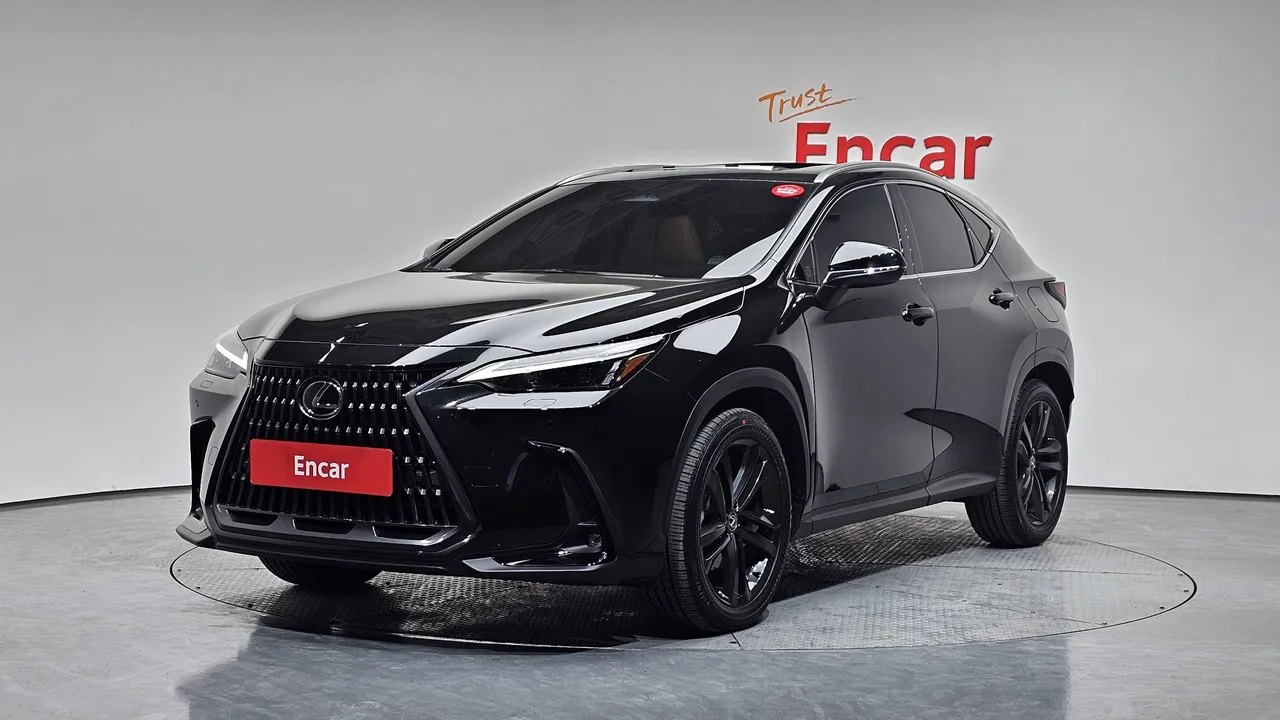 2024 Lexus NX Premium