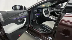 2022 Mercedes-Benz AMG GT 4Door 43 4MATIC+ Special Edition — фото 10