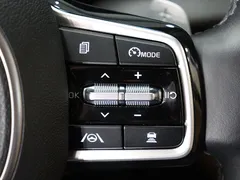 2023 Kia Carnival Diesel 9-Seater Noblesse — фото 15