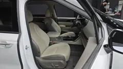 2023 Kia Carnival Diesel 9-Seater Signature — фото 12