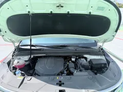 2023 Kia Carnival Diesel 9-Seater Signature — фото 5