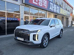 2023 Hyundai Palisade Diesel 2.2 2WD — фото 20