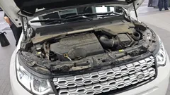 2022 Land Rover Discovery Sport P250 SE, белый — фото 6