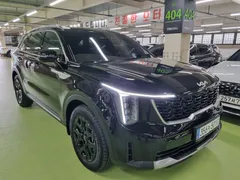 2024 Kia Sorento HEV 1.6 2WD — фото 12