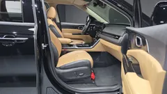 2023 Kia Carnival Diesel 11-Seater Signature — фото 11