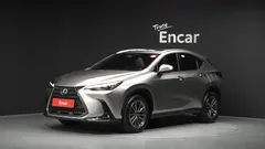 2024 Lexus NX Premium, серо-серебристый — фото 1