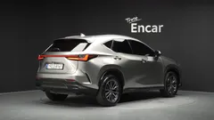 2024 Lexus NX Premium, серо-серебристый — фото 2