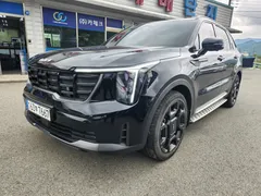 2024 Kia Sorento Gasoline 2.5T 4WD — фото 13