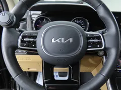 2023 Kia Carnival Diesel 9-Seater Prestige — фото 19