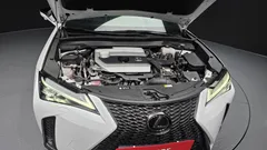 2024 Lexus UX 2.0 F-Sport 2WD, белый — фото 6