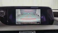 2021 Lexus ES Luxury Plus, 연금색 — фото 15