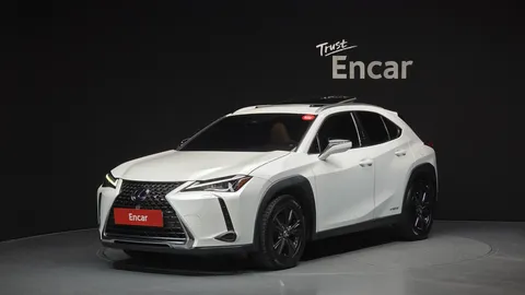 2021 Lexus UX 2.0 2WD