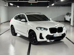 2022 BMW X4 xDrive20i M Sports Pro — фото 12