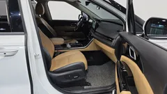 2023 Kia Carnival Diesel 9-Seater Signature — фото 11