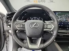 2023 Lexus RX Luxury, серо-серебристый — фото 9