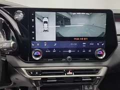 2023 Lexus RX Luxury, серо-серебристый — фото 10
