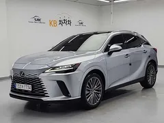 2023 Lexus RX Luxury, серо-серебристый — фото 12