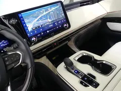 2025 Lexus LM 500h Executive — фото 15