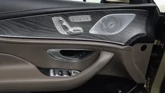 2023 Mercedes-Benz AMG GT 4Door 43 4MATIC+ Dynamic golden daylight — фото 19