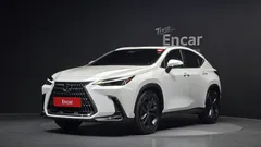 2023 Lexus NX Premium, белый — фото 1
