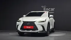 2023 Lexus NX Premium, белый — фото 3