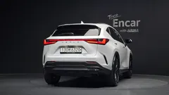 2023 Lexus NX Premium, белый — фото 4