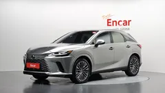 2024 Lexus RX Luxury, серо-серебристый — фото 1