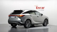 2024 Lexus RX Luxury, серо-серебристый — фото 2