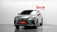 2024 Lexus RX Luxury, серо-серебристый — фото 3
