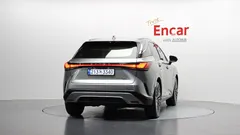 2024 Lexus RX Luxury, серо-серебристый — фото 4