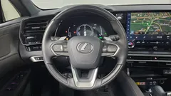 2024 Lexus RX Luxury, серо-серебристый — фото 13