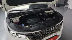 2023 Kia Carnival Gasoline 9-Seater Hi-Limousine — фото 6