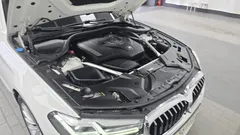 2021 BMW 5-Series 520i Luxury, белый — фото 6