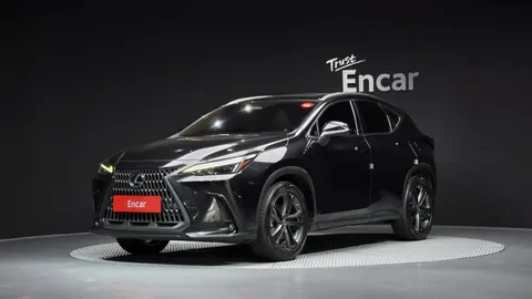 2023 Lexus NX Premium
