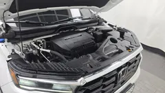 2023 Honda Pilot 3.5 Elite, белый — фото 6