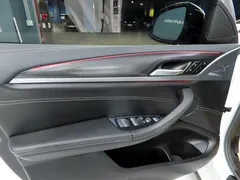 2023 BMW X4 xDrive20i M Sports Pro — фото 17