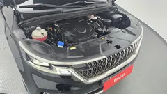 2023 Kia Carnival Diesel 9-Seater Signature — фото 6