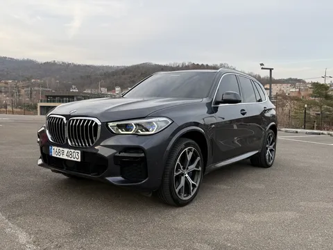 2022 BMW X5 xDrive 30d M Sport