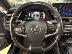 2022 Lexus ES Executive — фото 16