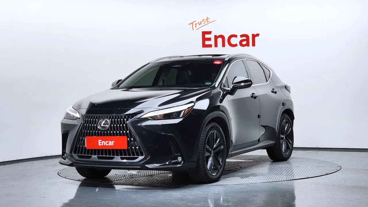 2024 Lexus NX Premium