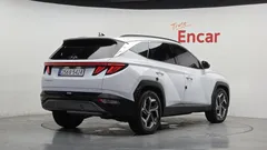2023 Hyundai Tucson Gasoline 1.6 Turbo 2WD, белый — фото 2