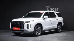2024 Hyundai Palisade Diesel 2.2 4WD — фото 13
