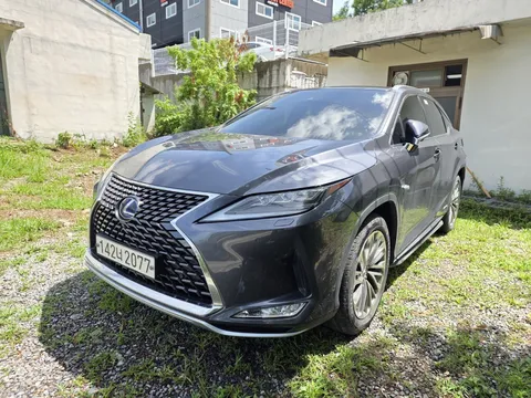 2022 Lexus RX Executive