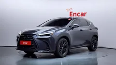 2023 Lexus NX Premium, серый — фото 1