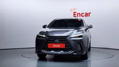 2023 Lexus NX Premium, серый — фото 3