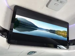 2024 Kia Canival Diesel 9-Seater Hi Limousine (Special Vehicle) — фото 14