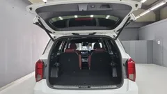 2024 Hyundai Palisade Diesel 2.2 2WD — фото 16