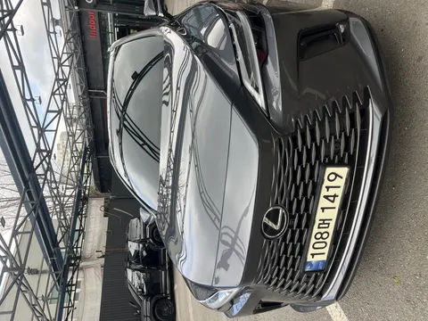 2024 Lexus RX Luxury